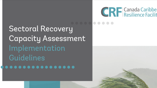 Sectoral Recovery Capacity Assessment Implementation Guidelines